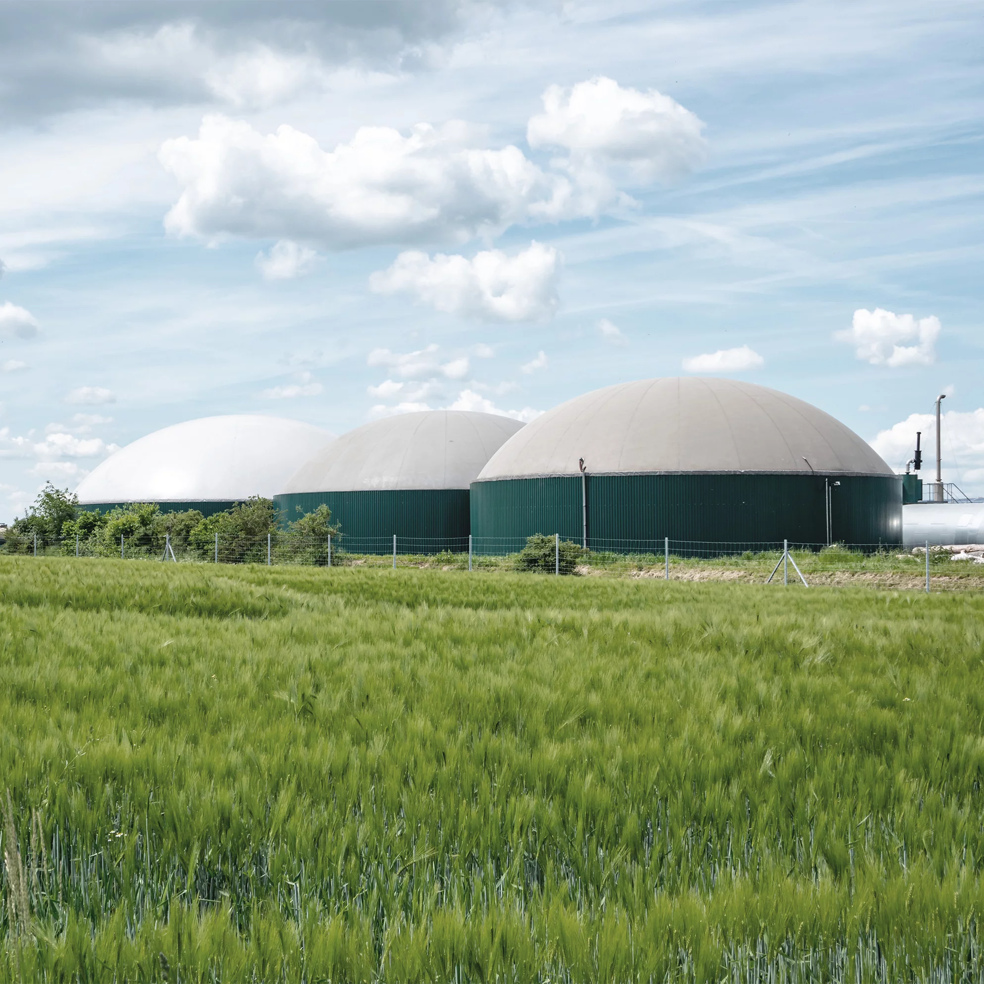 Eine Biogasanlage auf einem grünen Feld bei blauem Himmel.